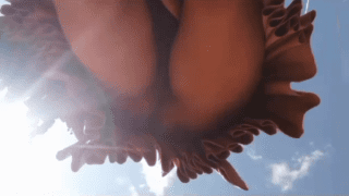 Cholita muestra su sapo video porno de cholitas