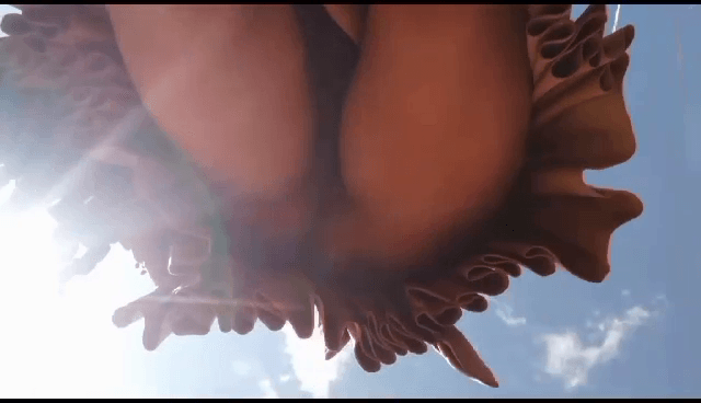 Cholita muestra su sapo video porno de cholitas